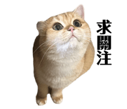 734308939