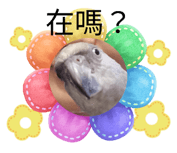 734309798
