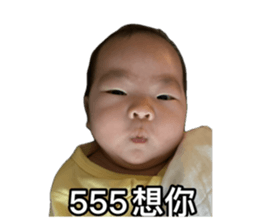 734317737