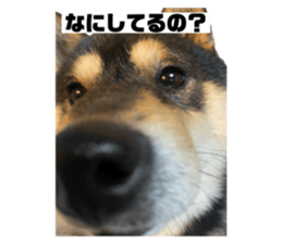 734333749