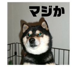 734333758
