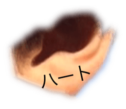 734343094