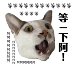 734343408