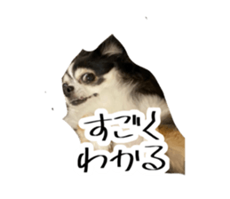 734343543