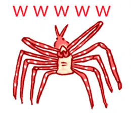 73434491
