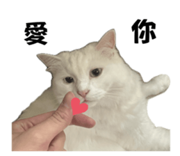 734347034