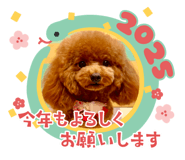 734352502