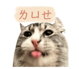 734354890