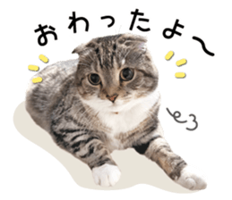 734369007