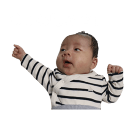 734372205