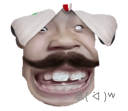 734376977