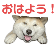 734400755