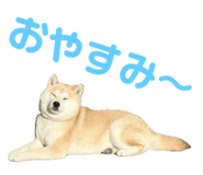 734400756