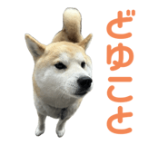 734400757