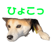 734400758