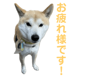 734400760