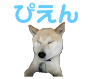 734400764