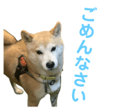 734400766