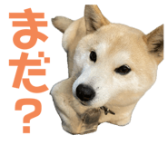 734400770