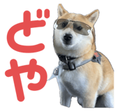 734400772