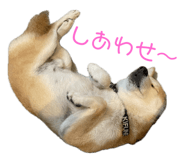 734400779