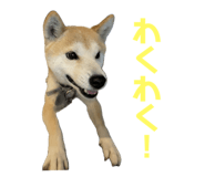 734400780