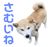 734400782