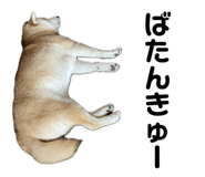 734400786