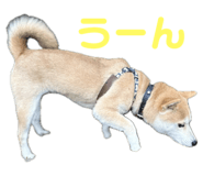 734400787