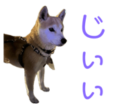 734400789