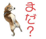 734400790