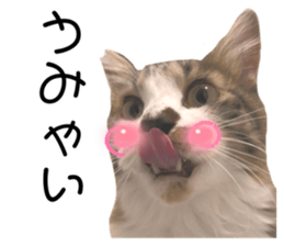 734401200
