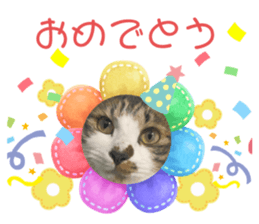 734401208