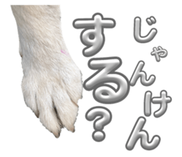 734401831