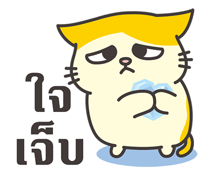 ลายที่ 5