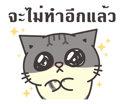 ลายที่ 11