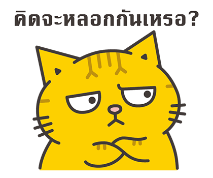 ลายที่ 13