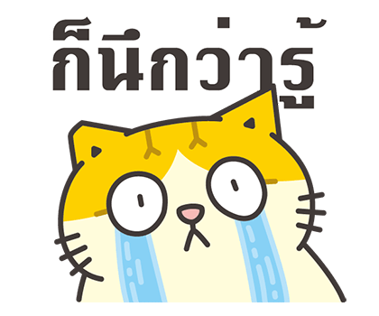 ลายที่ 21