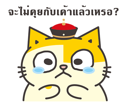 ลายที่ 33