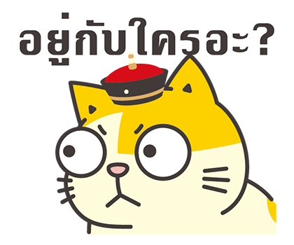 ลายที่ 41