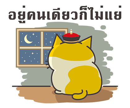 ลายที่ 43