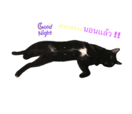 734407514
