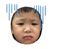 734408441