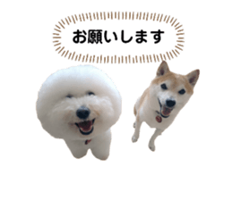 734424454