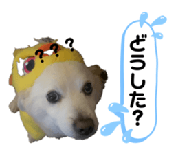 734426205