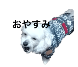 734434358