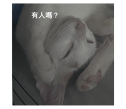 734455257