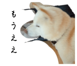 734458744