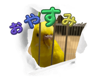734460618
