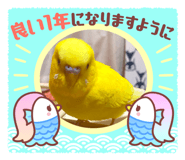 734460620